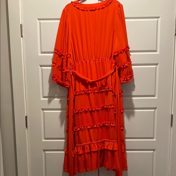 Alexis Red Ruffled Maxi Dress - Picture 4 of 6